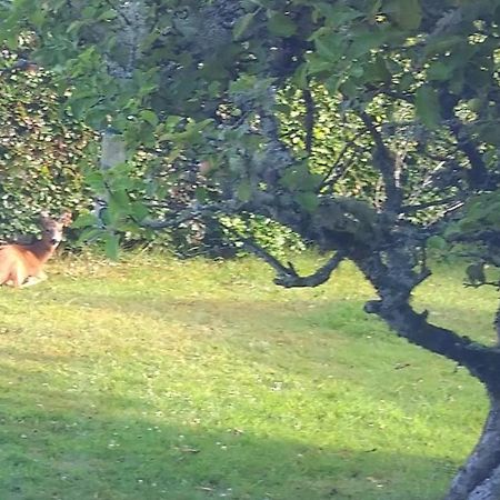 Bed and Breakfast Aquila Retreats Comrie Exterior foto